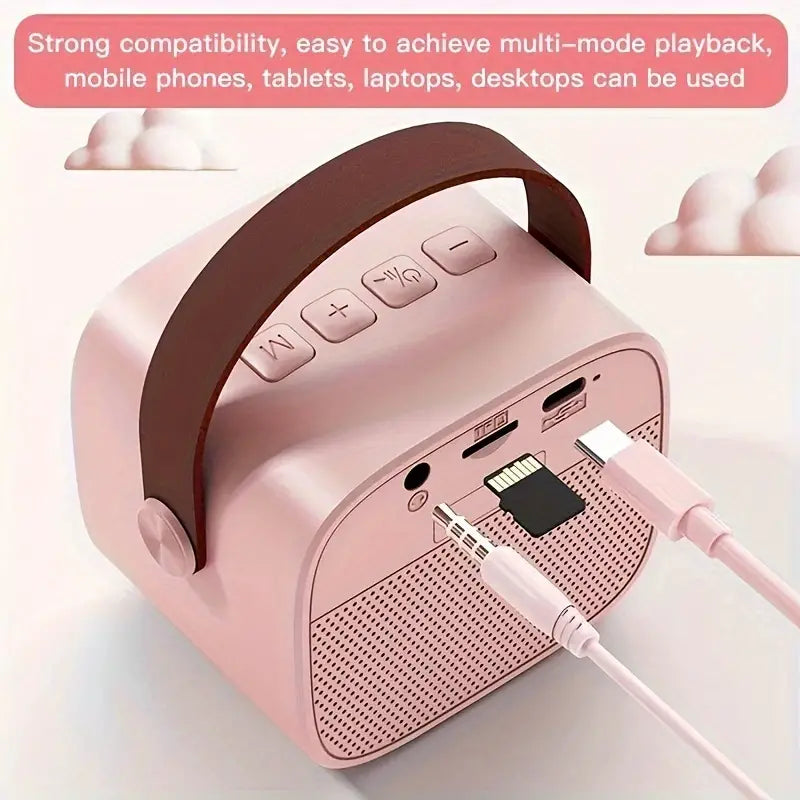 Ensemble Haut-Parleur Sans Fil avec 2 Microphones Portables