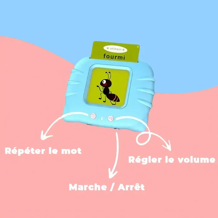 Cartes Éducatives Interactives – 3 Langues (Arabe, Français, Anglais)