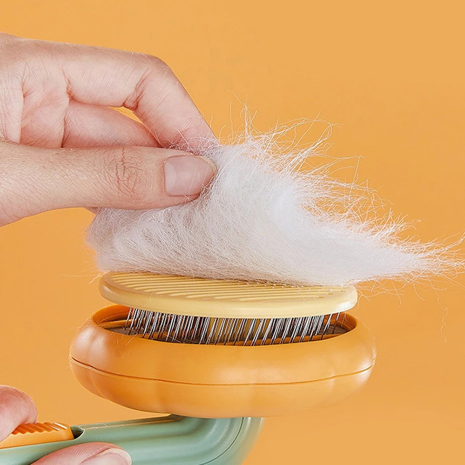 Brosse de nettoyage pour poils d'animaux